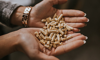 hands holding small wood pellets surrounded by natural light for sustainable energy options and biomass applications