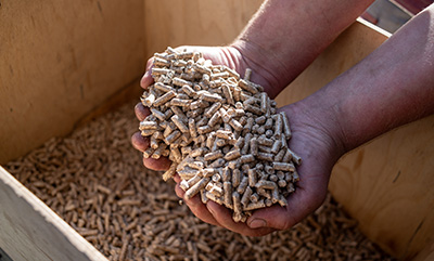 hands holding wood pellets in a wooden box showcasing 12 types of biomass fuel